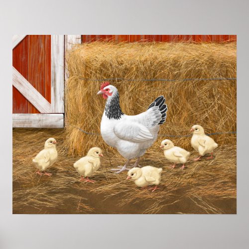 Sussex Chicken Mama Hen and Chicks Poster