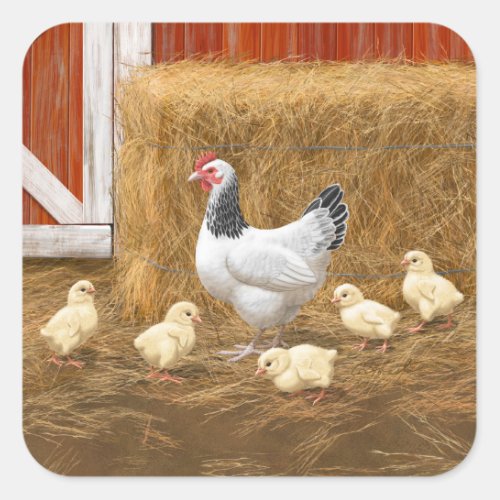 Sussex Chicken Mama Hen and Chicks Square Sticker