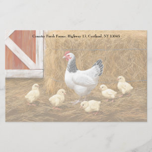 Sussex Chicken Mama Hen and Chicks Stationery