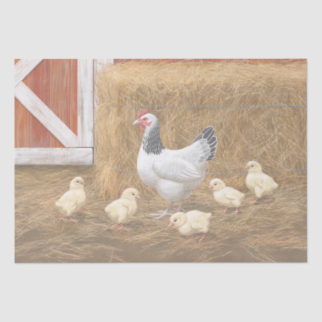 Sussex Chicken Mama Hen and Chicks Tissue Paper (Front)