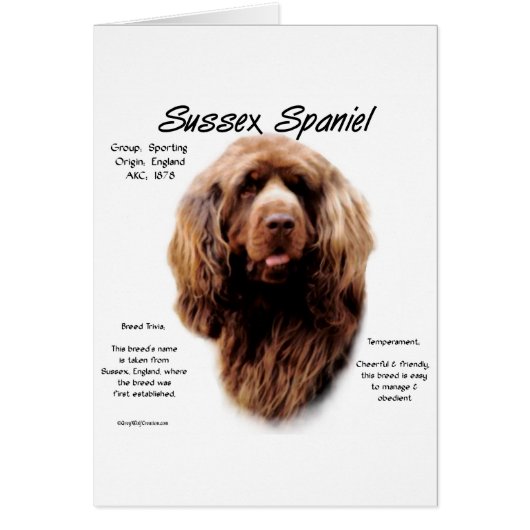 Sussex Spaniel History Design (Front)