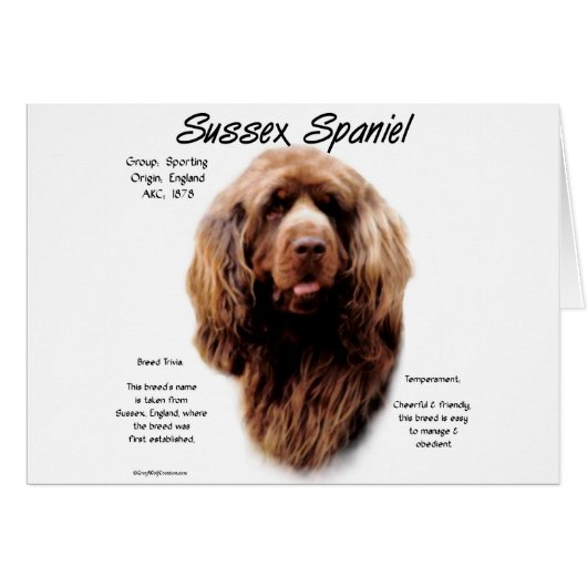 Sussex Spaniel History Design (Front Horizontal)