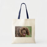 Sussex Spaniel Tote Bag