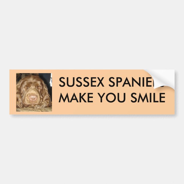 SUSSEX SPANIELS MAKE YOU SMILE BUMPER STICKER (Front)