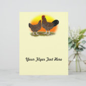 Sussex Sunrise (Standing Front)