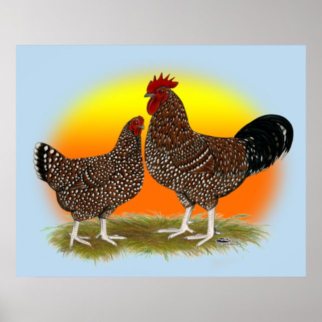 Sussex Sunrise Poster (Front)