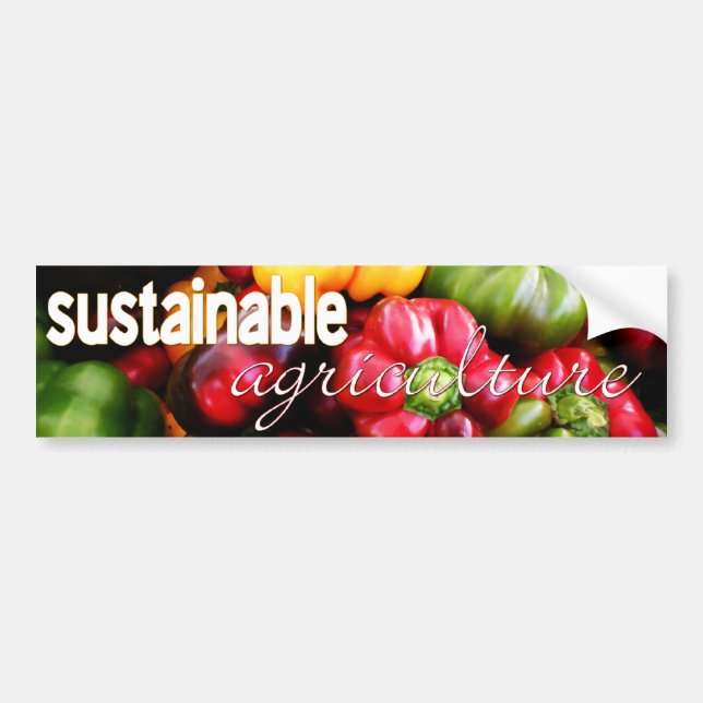 Sustainable Agriculture Vegetable Bumper Sticker (Front)