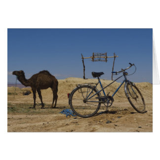 Sustainable transportation cards