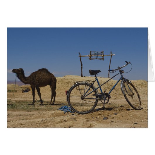 Sustainable transportation cards (Front Horizontal)