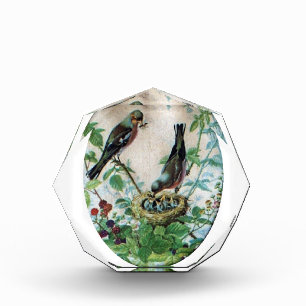 Sustaining the Flock: Capturing Nurturing Parental Acrylic Award