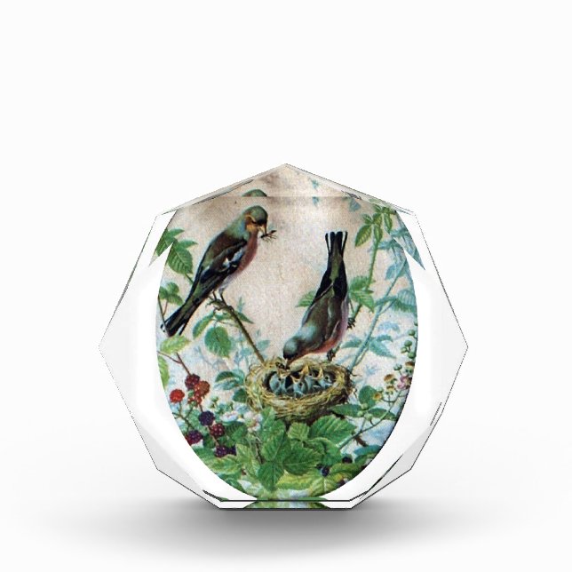 Sustaining the Flock: Capturing Nurturing Parental Acrylic Award (Front)