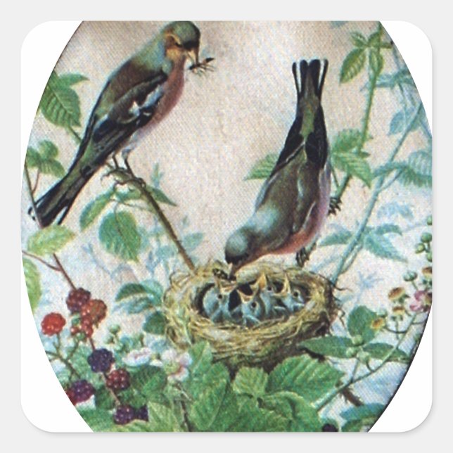 Sustaining the Flock: Capturing Nurturing Parental Square Sticker (Front)