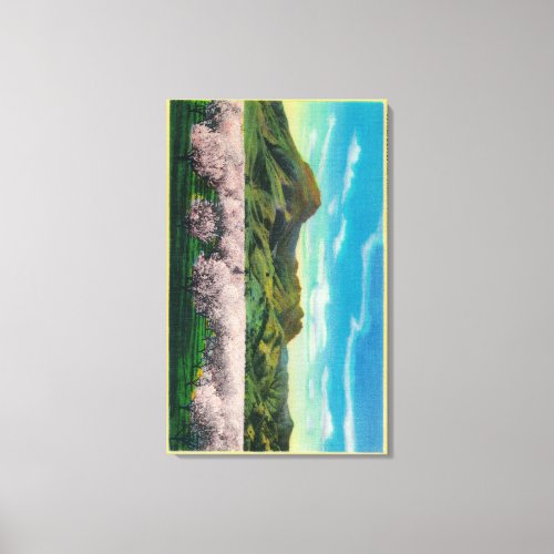 Sutter Buttes and Orchards in Bloom Canvas Print