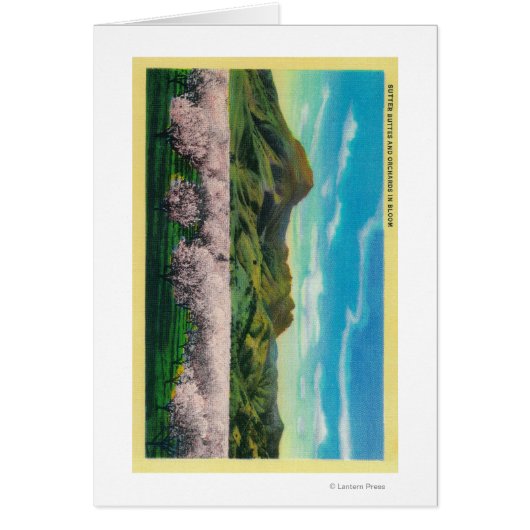 Sutter Buttes and Orchards in Bloom Cards (Front)