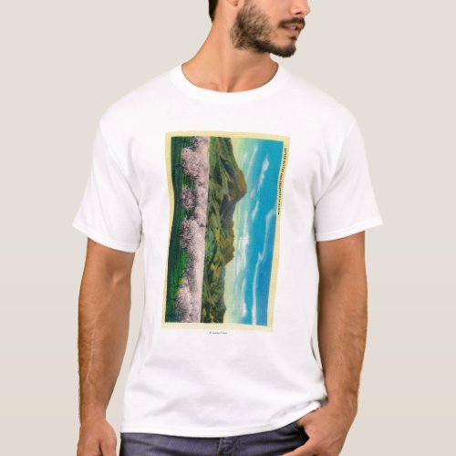 Sutter Buttes and Orchards in Bloom T_Shirt