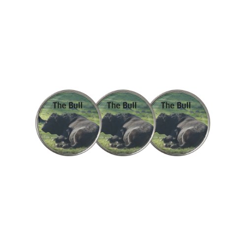 Sutter Buttes Mountain Range the Bull Ball Markers