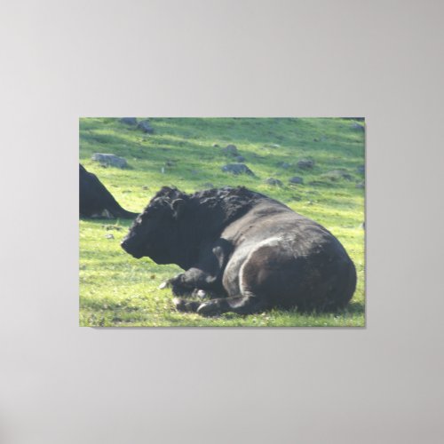 Sutter Buttes Mountain Range the Bull photo  Canvas Print