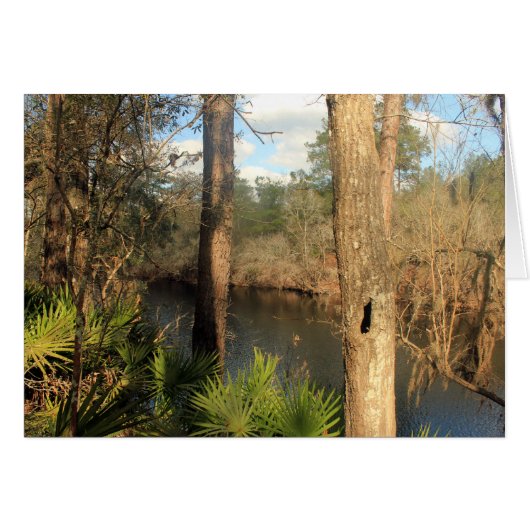 Suwanee River, Big Shoals State Park, Florida Cards (Front Horizontal)