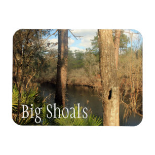 Suwanee River, Big Shoals State Park, Florida Magnet
