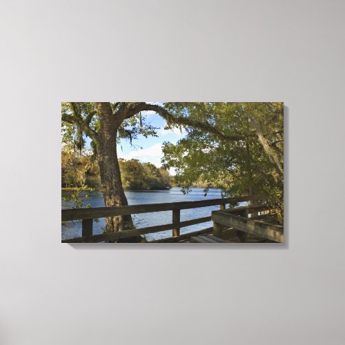 Suwannee River at Hart Springs  Canvas Print
