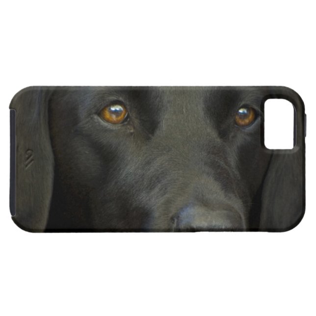 Svart Labrador hund Case-Mate iPhone Case (Back Horizontal)