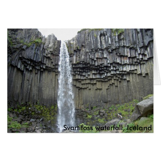Svartifoss waterfall, Iceland (Front Horizontal)