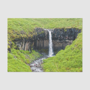 Svartifoss Waterfall in Skaftafell - Iceland Tissue Paper