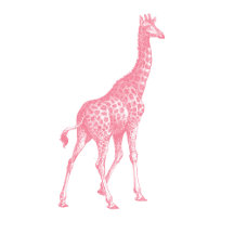 Giraffe Baby Girl Stationery
