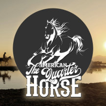 American quarter horse 1