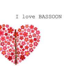 I love BASSOON