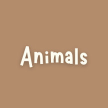 Animals