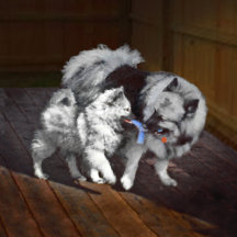 Keeshond Cards