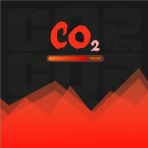 High levels of carbon dioxide pollution