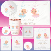 He or She, What Will Baby Be? Gender Reveal Party