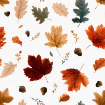 Fall Collection