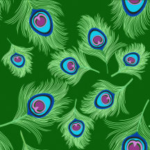 Peacock Feather Coordinates