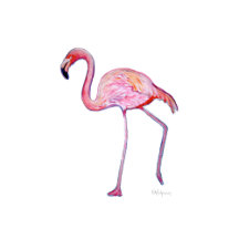 Pink Flamingos