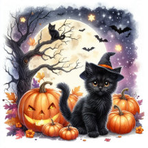 Halloween Black Cat Party Supplies and Gifts