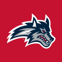 Stony Brook