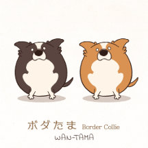 ボダたま <Border Collie>