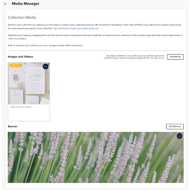 Enhance Collections with Compelling Cover Photos