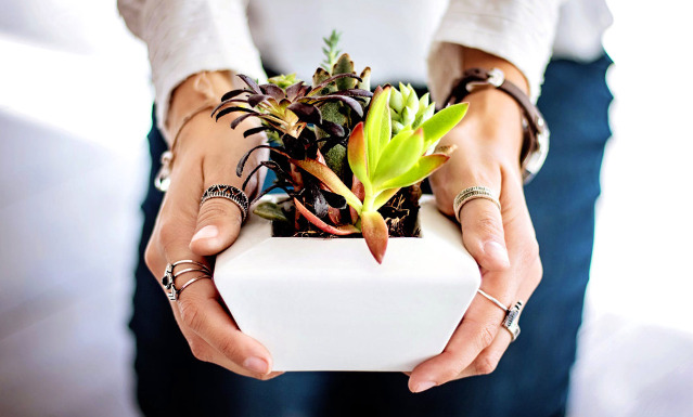 Gifts for Coworkers You Actually Like