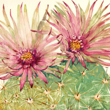 Tropical & Desert Art Merchandise