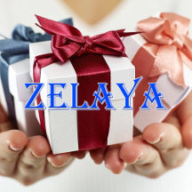 Zayas_Name T-Shirt