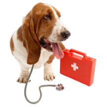 Emotional Emergency - 54321 Countdown - Bassett