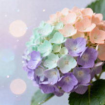 Soft Pastel Easter Spring Blooms