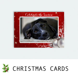 Christmas Cards