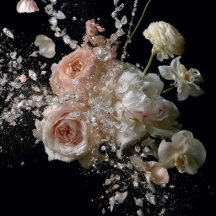 Diamond Reverie