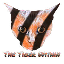 Midnight Tiger Stripes Collection 