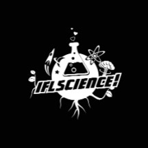 I Love Science Store